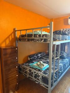 Postel nebo postele na pokoji v ubytování KiKi HOSTEL