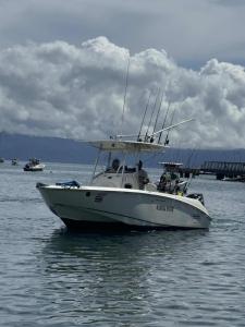 Φυσικό τοπίο κοντά σε αυτός ο ξενώνας