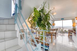 un escalier dans une maison avec une plante dans l'établissement Chambre d'hôtes - Le quartier haut, à Sète