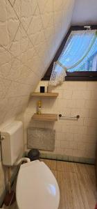 a bathroom with a toilet in a room with a window at A-Frame am Ochsenkopf in Mehlmeisel +28 photos