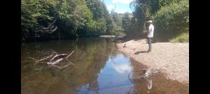 Φωτογραφία από το άλμπουμ του Lomas de Hullinco Lodge σε Petanesí Alto