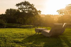 a bench sitting in the grass in a field at Éco-domaine Gîtes et Spa - Mer, Nature & Confort - Côte d'Opale in Wierre-Effroy
