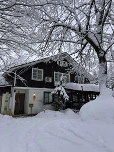 Sugi Lodge durante el invierno