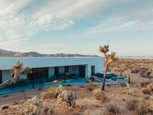 een huis midden in de woestijn met een palmboom bij Desert Bloom By The Cohost Company in Joshua Tree +91 foto's