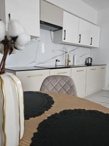 Kuchyň nebo kuchyňský kout v ubytování Apartament Lilly & Tilly free parking podziemny