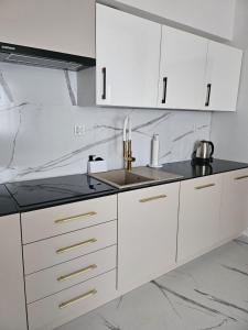 Kuchyň nebo kuchyňský kout v ubytování Apartament Lilly & Tilly free parking podziemny