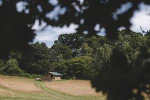 Naturlandskabet i nærheden af feriehuset + 5 billeder