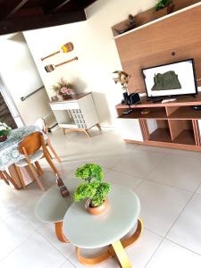 a living room with a table with a plant on it at Casa de praia na Linha Verde - Beira-mar in Camaçari