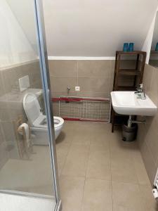 Ένα μπάνιο στο Ubytovanie DOBRÁ LIPA +31 φωτογραφίες