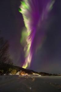 an aurora in the sky over a snow covered field at Northern Lights Apartment in Mortenhals +35 photos