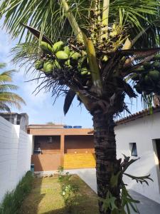 a palm tree with a bunch of fruit on it at Pousada Esspaço Vista Mar in Itanhaém