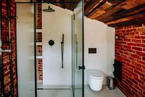 a glass shower in a bathroom with a toilet at StyLove-Apartamenty in Ustroń
