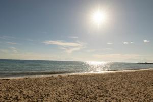 Φυσικό τοπίο κοντά σε αυτό το διαμέρισμα +54 φωτογραφίες