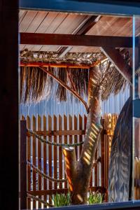 una vista di una palma di fronte a un edificio di Pé na areia Brava 50m do mar Churras Ar Condincionado a Itajaí