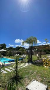 un cortile con piscina, sedie e palma di Calma a Punta Colorada