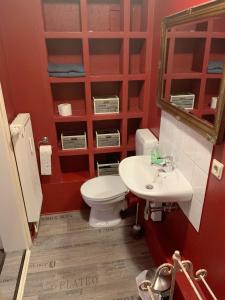 Ferienwohnung und Pension Goldberg في غروسشوناو: حمام مزود بمرحاض ومغسلة ومرآة +38 صورة