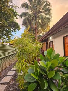 Κήπος έξω από το Boutique Studios Uvita +13 φωτογραφίες