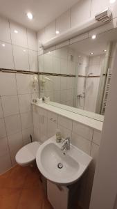 une salle de bain avec un lavabo, des toilettes et un miroir dans l'établissement Küstenoase, à Cuxhaven 36 autres photos