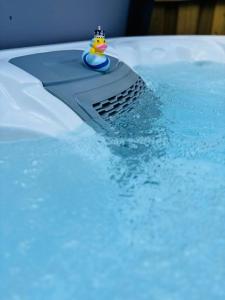 a toy duck sitting on top of a cake at St Oswalds Estate Lodges in Whitby