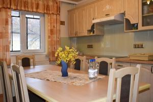 a kitchen with a table with a vase on it at Szent Ferenc Vendégház in Deva