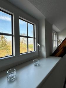 Gallery image of Robbe beim Ochsenturm am Deich 