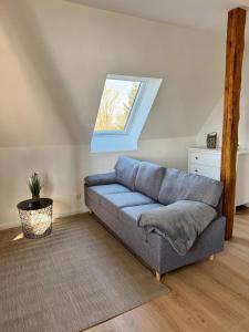 Un sofá en una sala de estar con ventana. en Robbe beim Ochsenturm am Deich, 