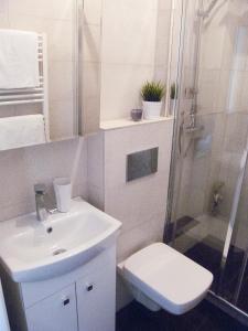 a bathroom with a sink and a shower and a toilet at Studio in heart of Warsaw in Warsaw