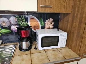 莱茵河畔威尔Haus Adelheid的厨房柜台配有微波炉和咖啡壶