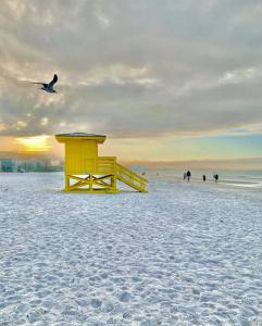 een vogel die over een gele bank op het strand vliegt bij Downtown Sarasota 4 Unit Compound- Beach Shopping Park in Sarasota