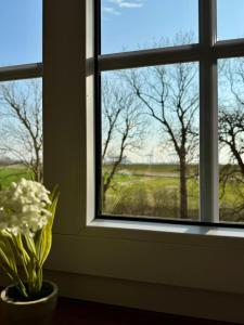 Příroda nedaleko apartmánu