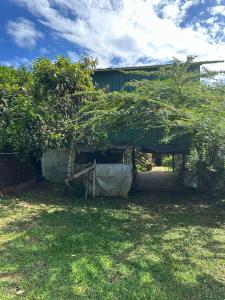 Κήπος έξω από το El Spot Orgánico +12 φωτογραφίες