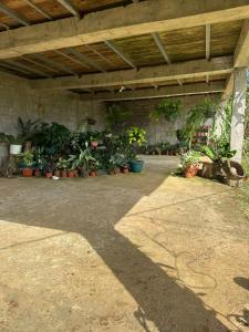 Κήπος έξω από το El Spot Orgánico