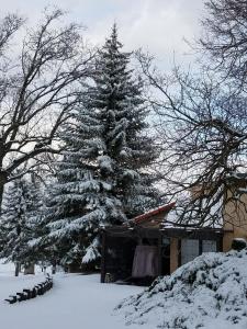 Beautiful Mountain Home v zimě