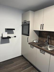 济泽罗河畔帕塞基Horský apartmán Dolní Rokytnice的厨房配有白色橱柜、水槽和冰箱