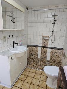 莱茵河畔威尔Haus Adelheid的带淋浴、水槽和马桶的浴室