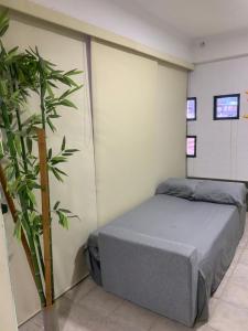 Un dormitorio con una cama y una planta en maceta. en Conjunto Residencial Emerald Suites, en Tucacas