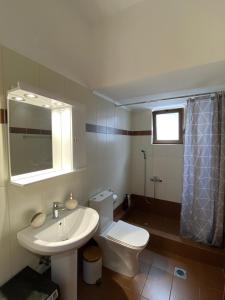 un bagno con un water bianco e un lavandino di Whole house Stropones Evia a Strópones