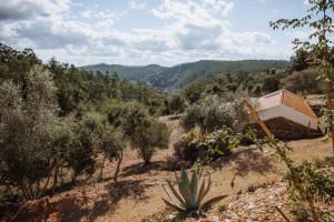 a tent in the middle of a field with trees at Herdade da Maceira in São Luis