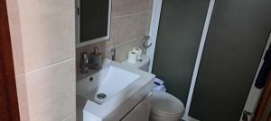 Ribeira GrandeCasa Flor Apartment的带白色水槽和马桶的浴室