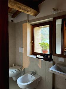 真加Agriturismo Al Vicinale的带马桶、水槽和窗户的浴室
