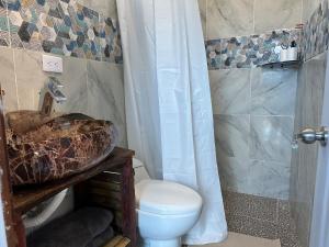 une salle de bain avec un lavabo, des toilettes et une douche dans l'établissement Guest House vista al mar Las Galeras 1, à Las Galeras