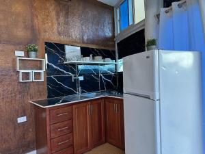 une cuisine avec un réfrigérateur blanc et des placards en bois dans l'établissement Guest House vista al mar Las Galeras 1, à Las Galeras