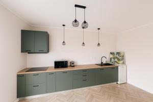 a kitchen with green cabinets and a counter top at ZiAna - Hiperbara Livezeni in Livezeni