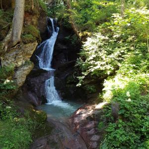 Paesaggio naturale nelle vicinanze dell'appartamento
