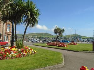 a street with flowers and palm trees in a parking lot at Fonn Na Mara in Campbeltown