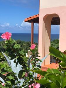 Příroda nedaleko hotelu