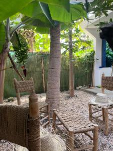 a patio with two chairs and a tree at Garden view double room in Agadir