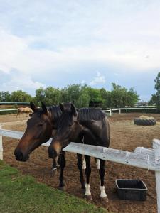 Φωτογραφία από το άλμπουμ του GPR Retreat στο Μπλουμφοντέιν