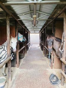 Φωτογραφία από το άλμπουμ του GPR Retreat στο Μπλουμφοντέιν +17 φωτογραφίες