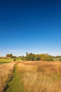 Příroda nedaleko prázdninového domu